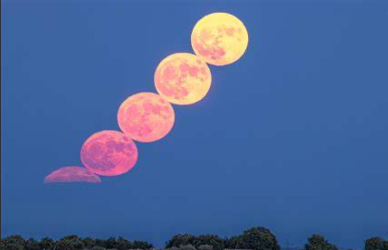 Capture d’écran 2025-02-27 à 18.22.06.png